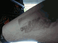 Arm stamp for entry to show