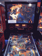 Swords Of Fury pinball