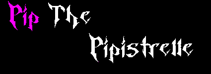 Pip The Pipistrelle Banner